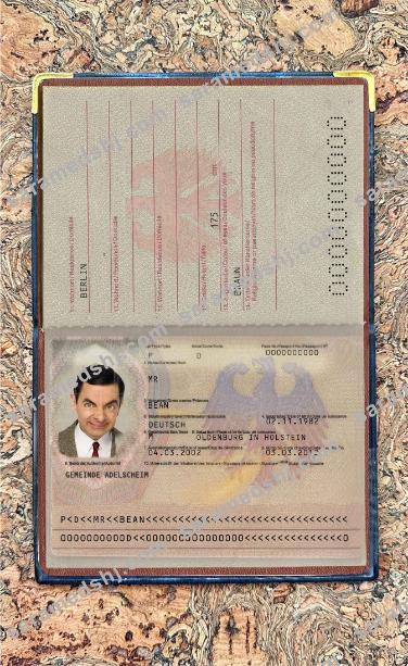 Germany passport (2005-2017) photo look